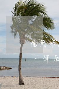信用卡逾期一年后還清影響征信(信用卡逾期一年后還清影響征信嘛)