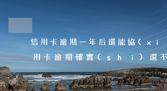 信用卡逾期一年后還能協(xié)商嗎(信用卡逾期確實(shí)還不起可以協(xié)商嗎)