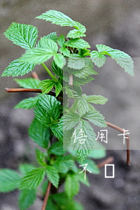 信用卡逾期一年后銀行收不回來(銀行卡逾期不還)