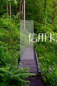 信用卡逾期一年后銀行會(huì)起訴嗎