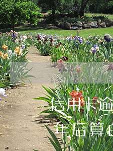 信用卡逾期一年后銷戶6(信用卡逾期銷戶5年后算白戶嗎)