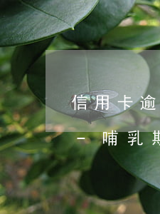 信用卡逾期一年哺乳期怎么協(xié)商-哺乳期信用卡逾期被起訴,可以延期開(kāi)庭嗎