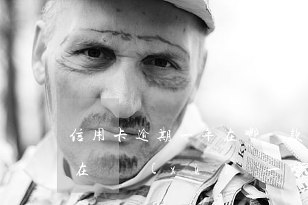信用卡逾期一年在哪還款(信用卡逾期了但還在陸續(xù)還一些錢)