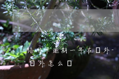 信用卡逾期一年在國外-信用卡逾期一年在國外怎么辦