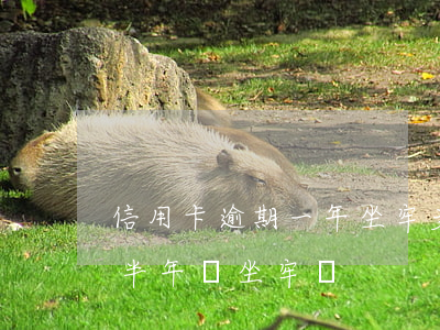 信用卡逾期一年坐牢多久(幾萬的信用卡逾期半年會坐牢嗎?)