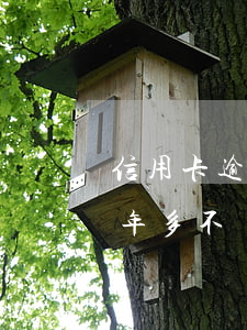 信用卡逾期一年多不還怎么辦(信用卡逾期一年多不還怎么辦)