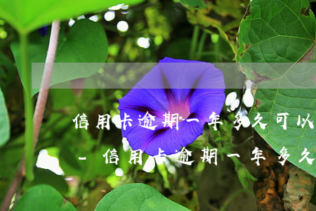 信用卡逾期一年多久可以恢復(fù)征信-信用卡逾期一年多久可以恢復(fù)征信記錄