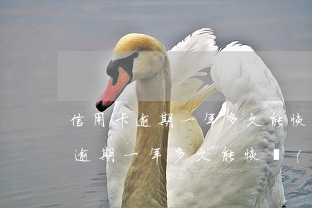 信用卡逾期一年多久能恢復(fù)(信用卡逾期一年多久能恢復(fù)征信)