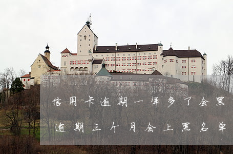 信用卡逾期一年多了会黑吗(信用卡2000逾期三个月会上黑名单吗)