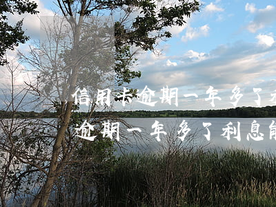 信用卡逾期一年多了利息能減免嗎-信用卡逾期一年多了利息能減免嗎知乎