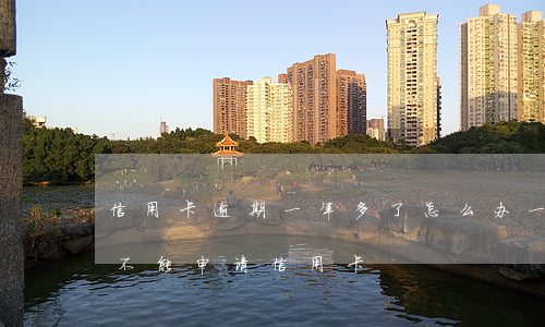 信用卡逾期一年多了怎么办(一年前逾期了能不能申请信用卡)