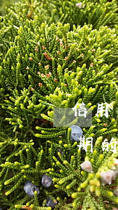 信用卡逾期一年多了怎樣辦(這么多信用卡逾期的怎么辦)