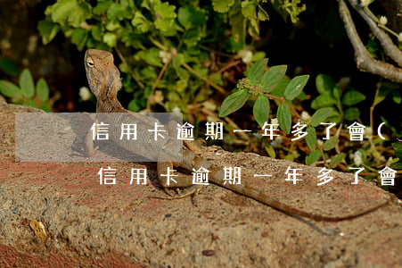 信用卡逾期一年多了會(huì)上黑名單(信用卡逾期一年多了會(huì)上黑名單)