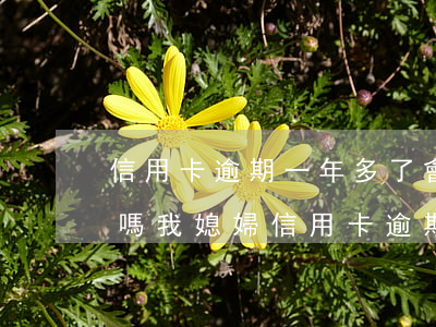 信用卡逾期一年多了會(huì)影響老婆嗎(我媳婦信用卡逾期一年征信會(huì)影響到我嗎)
