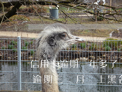 信用卡逾期一年多了會黑嗎(信用卡2000逾期三個月會上黑名單嗎)