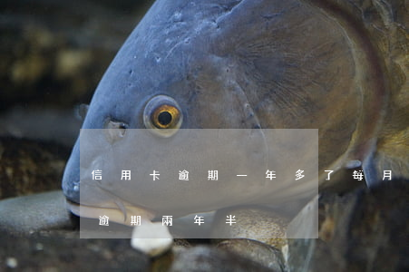 信用卡逾期一年多了每月還五百(5千信用卡逾期兩年半)