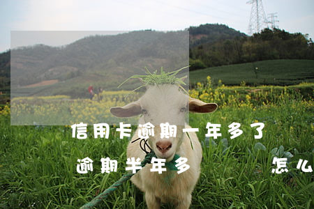 信用卡逾期一年多了沒錢還(欠信用卡一萬多逾期半年多沒還會怎么樣?)