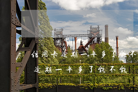 信用卡逾期一年多了能不能辦簽證-信用卡逾期一年多了能不能辦簽證了