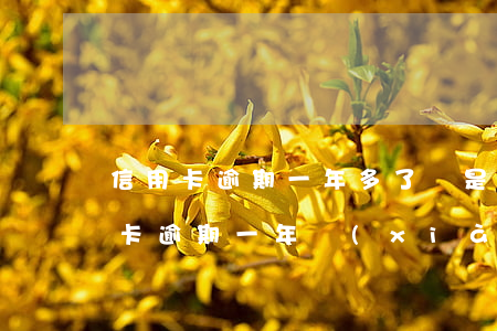 信用卡逾期一年多了 還是還不起怎么辦（信用卡逾期一年現(xiàn)在還不進(jìn)去錢）