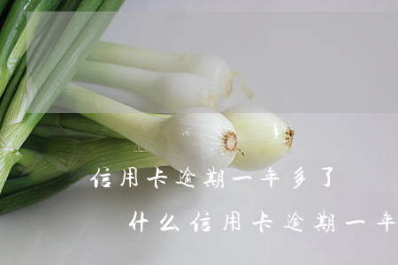 信用卡逾期一年多了還會(huì)起訴嗎(為什么信用卡逾期一年了,還不起訴)