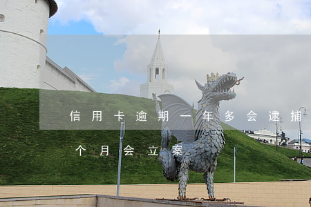 信用卡逾期一年多会逮捕吗(欠信用卡逾期几个月会立案)