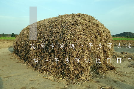 信用卡逾期一年多可以住賓館嗎-信用卡逾期一年多可以住賓館嗎
