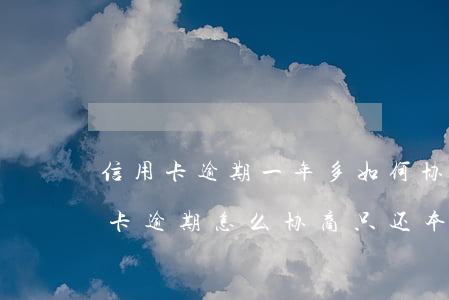 信用卡逾期一年多如何协商还款(四大行信用卡逾期怎么协商只还本金)