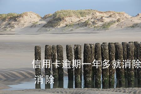 信用卡逾期一年多就消除(信用卡逾期幾年后消除)