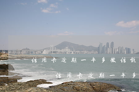 信用卡逾期一年多微信能還進(jìn)去嗎-信用卡逾期一年多微信能還進(jìn)去嗎安全嗎