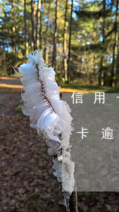 信用卡逾期一年多怎么協(xié)商(信用卡逾期一年多怎么協(xié)商還本金)