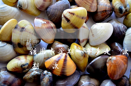 信用卡逾期一年多是幾次(信用卡一年不能逾期幾次)