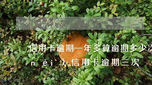 信用卡逾期一年多算逾期多少次-一年內(nèi)信用卡逾期三次
