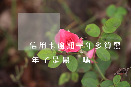 信用卡逾期一年多算黑戶嗎(我信用卡逾期半年了是黑戶嗎)