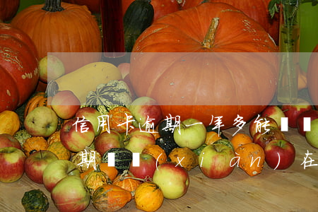 信用卡逾期一年多能買車嗎(兩年前信用卡逾期過,現(xiàn)在可以貸款買車嗎)