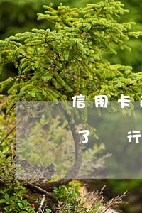 信用卡逾期一年多被起訴(信用卡逾期一年多了,銀行并未起訴)