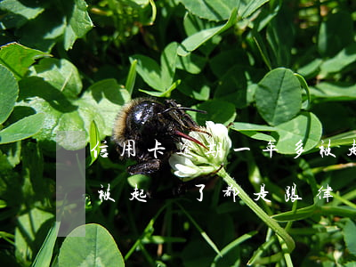 信用卡逾期一年多被起訴(信用卡逾期一年多被起訴了都是跟律師溝通協(xié)商嗎?)