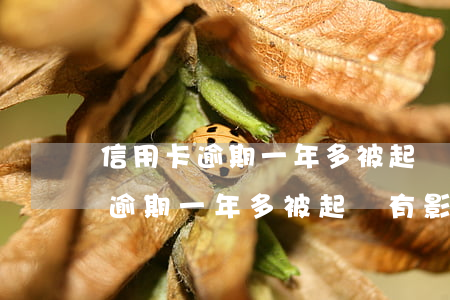 信用卡逾期一年多被起訴有影響嗎-信用卡逾期一年多被起訴有影響嗎知乎