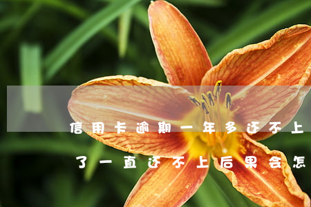 信用卡逾期一年多还不上(信用卡逾期十几年了,一直还不上后果会怎样)