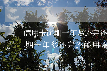 信用卡逾期一年多还完还能用不-信用卡逾期一年多还完还能用不