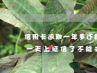 信用卡逾期一年多还能办车贷吗(车贷逾期了一天上征信了不能办理信用卡吗)