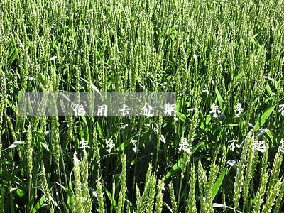 信用卡逾期一年多還不進去了(信用卡逾期一年多了 還是還不起怎么辦)
