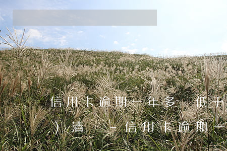 信用卡逾期一年多還低于本金能結(jié)清嗎-信用卡逾期一年多還低于本金能結(jié)清嗎