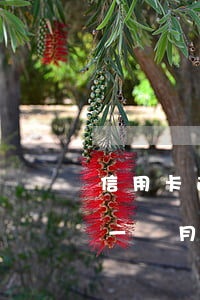 信用卡逾期一年多還完能用嗎 我信用卡逾期一個月,還了之后還能用嗎