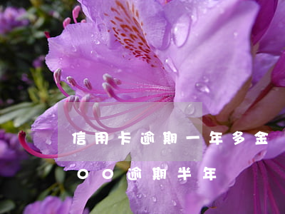 信用卡逾期一年多金額5000(信用卡5000逾期半年)