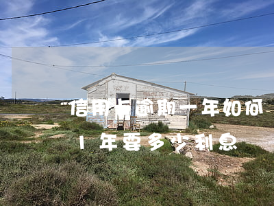 信用卡逾期一年如何還款6(信用卡6萬逾期1年要多少利息)