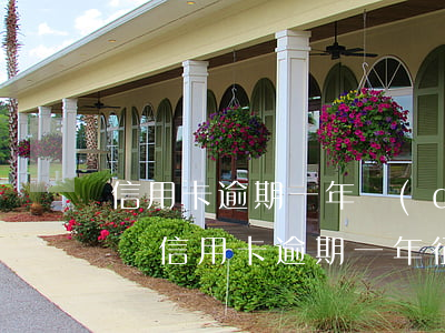 信用卡逾期一年對(duì)征信影響(我媳婦信用卡逾期一年征信會(huì)影響到我嗎)