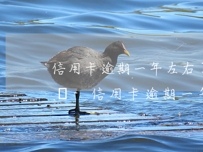 信用卡逾期一年左右了后果嚴(yán)重嗎-信用卡逾期一年左右了后果嚴(yán)重嗎怎么辦