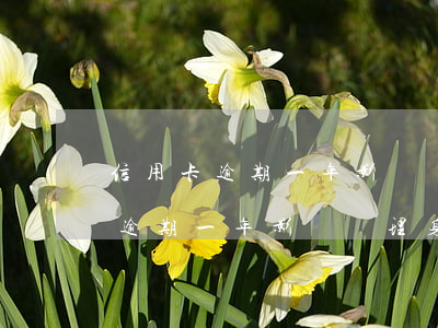 信用卡逾期一年影響辦理身份證嗎-信用卡逾期一年影響辦理身份證嗎