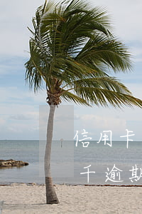 信用卡逾期一年律師叫我三天還上(信用卡3千逾期兩年)