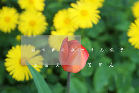 信用卡逾期一年怎么少還(信用卡逾期一年現在每月還幾百可以嗎)